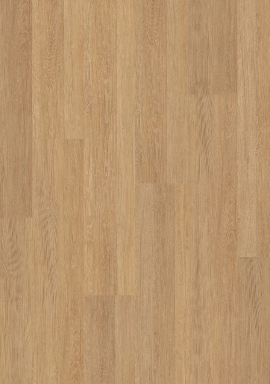 Textura Essential Oak