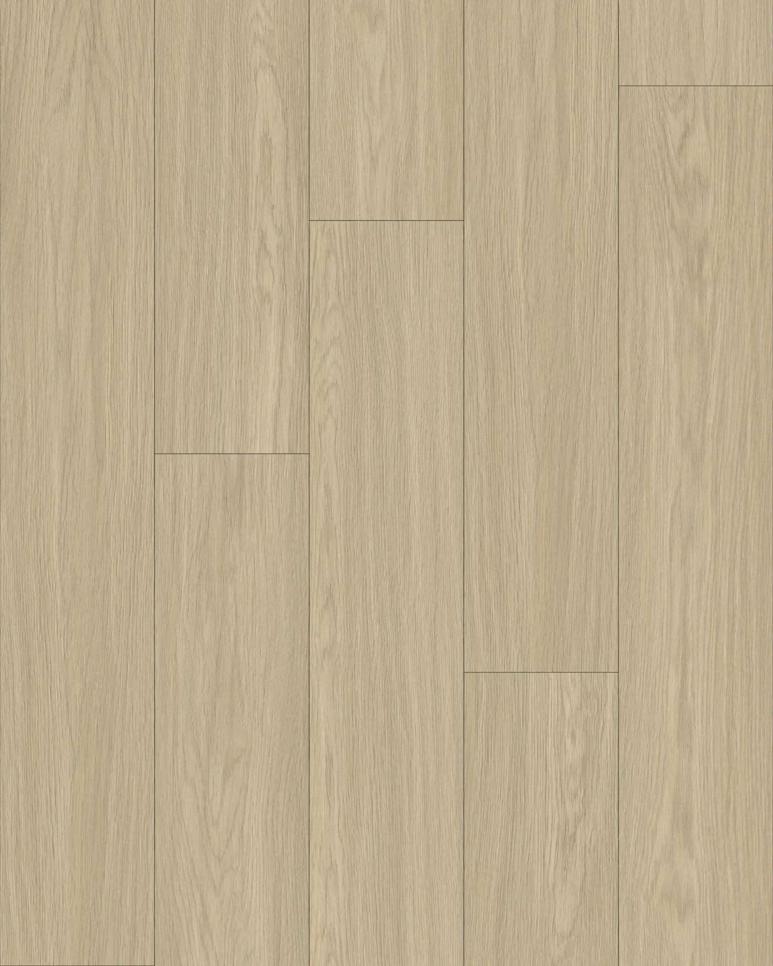 Textura Truffel